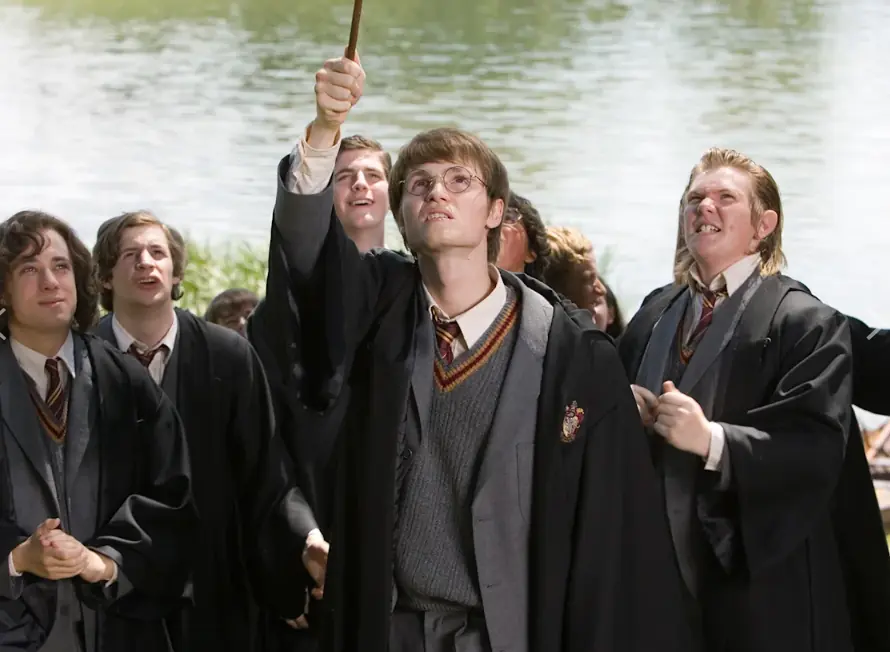 Harry Potter Çapulcular Kimdir?