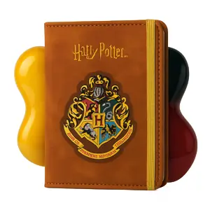 Harry Potter Pasaport Kılıfı